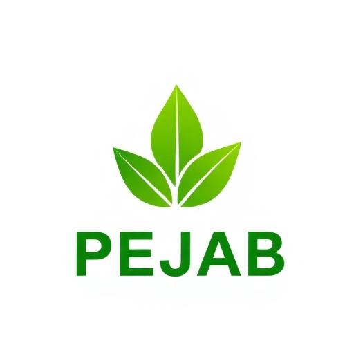 PEJAB fait confiance à SENTECH Logo PEJAB - Client SENTECH RDC